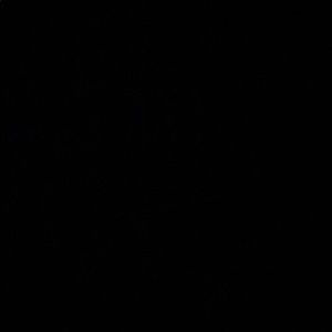 Meet your Posher, Caleb